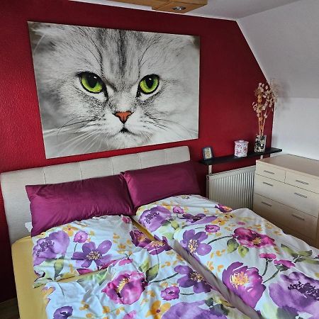 Ferienwohnung Unter Dem Fuchsturm Jena Exterior foto