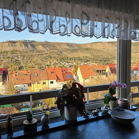 Ferienwohnung Unter Dem Fuchsturm Jena Exterior foto